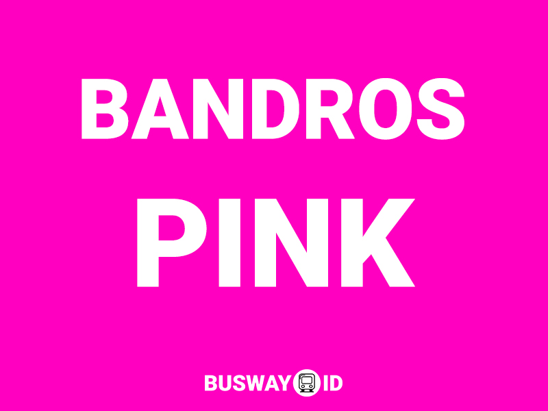 Bus Bandros Pink