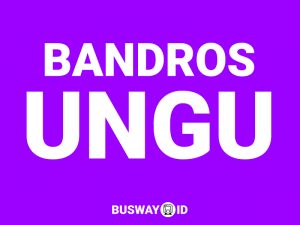 Bus Bandros Ungu