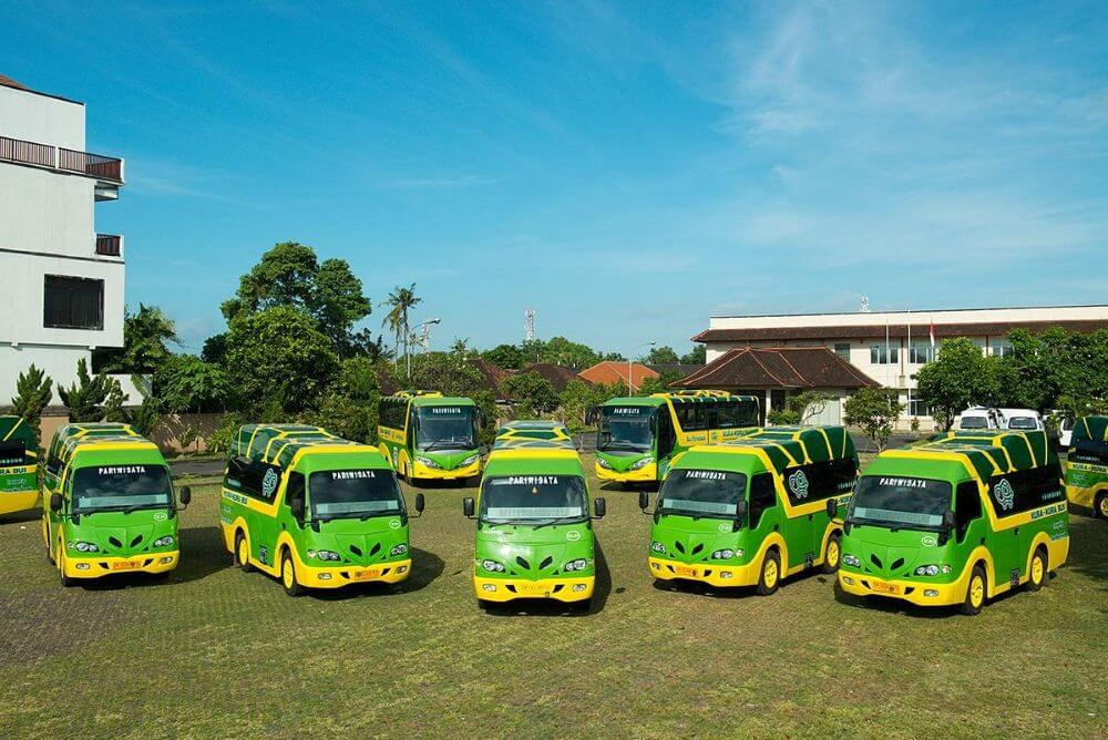 kura kura bus bali (1)