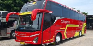 Bus pariwisata Adhi Prima