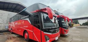 Bus pariwisata Agra Icon