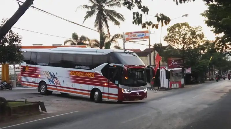 Bus pariwisata Aneka Jaya