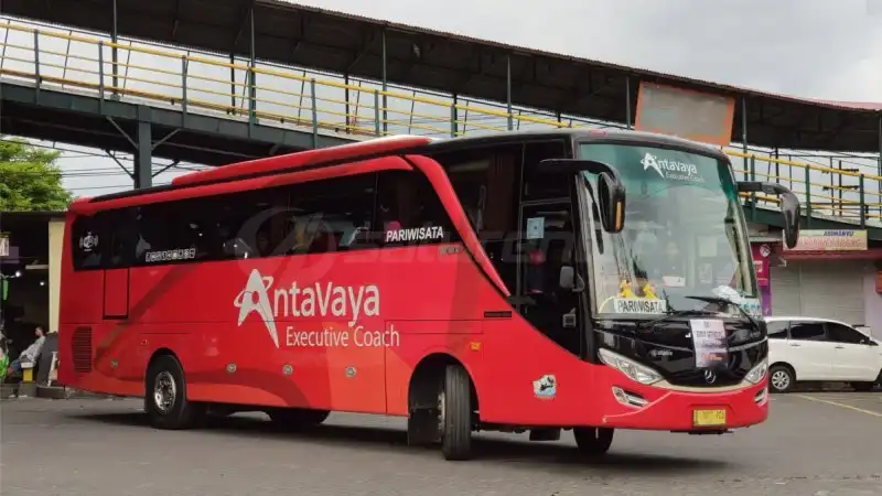 Bus pariwisata Antavaya