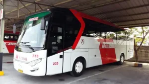 Bus pariwisata Arion
