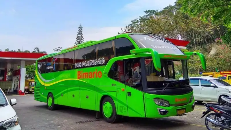 Bus pariwisata Bimario