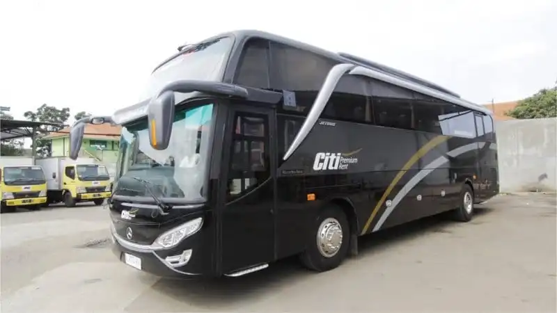 Bus pariwisata CitiRent