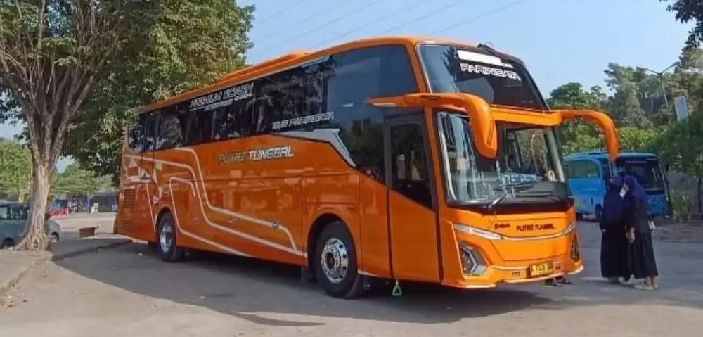 Bus pariwisata Milano Trans