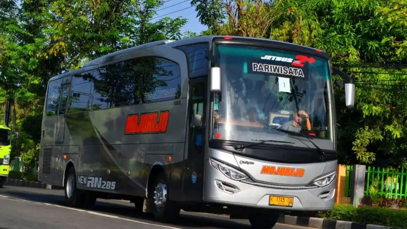 Bus pariwisata Mojorejo