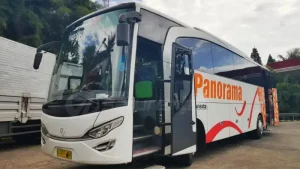 Bus pariwisata Panorama