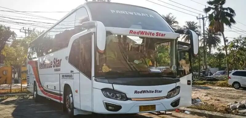 Bus pariwisata Red White Star