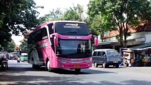 Bus pariwisata Sumur Mas