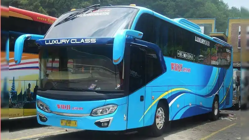 Bus pariwisata Widji Lestari