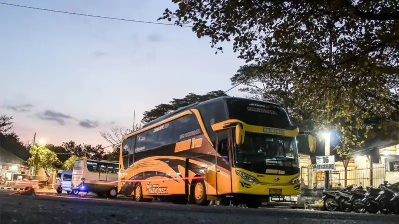 bus-pariwisata-Almirah Trans