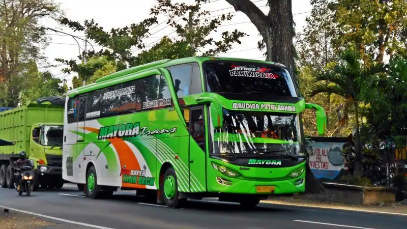 bus-pariwisata-Mayora Trans